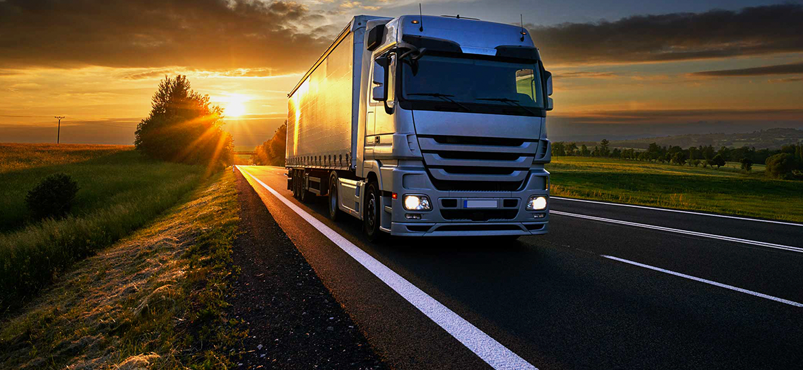logistica-competencia